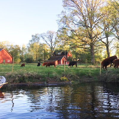 farm by the river Bolmån