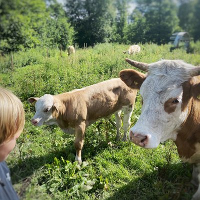 Barnaktiviteter Småland